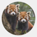 Suche nach pandas aufkleber Generativitätsinhalt