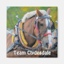 Recherche de cowboys magnets Pour enfants