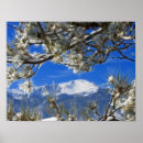 Recherche de climbing posters Blue