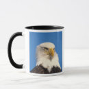 Suche nach weißkopfseeadler tassen Nationalvogel