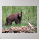 Suche nach zimt poster Natur
