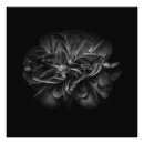 Recherche de beauté unique posters Fleurs