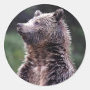 Suche nach stehender aufkleber Farbbild