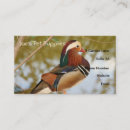 Recherche de oiseaux exotiques cartes visite Tropical