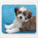 Suche nach tier liebhaber mousepads Blau