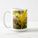 Recherche de tisserands tasses Tissage
