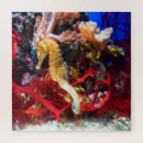 Suche nach seepferd puzzle Natur