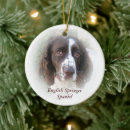 Suche nach englischer springer spaniel ornamente Hund