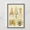 Recherche de poulpe vintage invitations Calmar