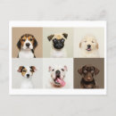 Recherche de chiots mignons cartes postales Dog
