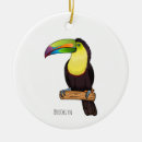 Suche nach tukan ornamente Vogel