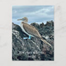 Suche nach haben sie eine gute reise karten Foto