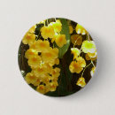 Suche nach orchideen blume buttons Natur