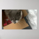 Suche nach schachtel poster Liebe