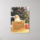 Suche nach weihnachtsgeschenk leinwandbilder Spaß