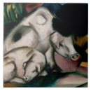 Suche nach germanisch untersetzer 1880 1916