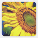 Recherche de faune et flore autocollants Fleur