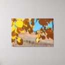 Suche nach espe leinwandbilder Herbst