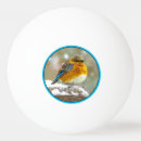 Recherche de neige balles ping pong Oiseau