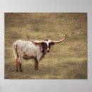 Recherche de cow photographie Vache