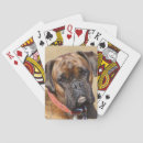 Suche nach doge spielkarten Foto