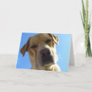 Recherche de fainéant vœux cartes Extracteur