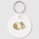 Recherche de gerbille accessoires Hamster