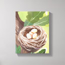 Suche nach kunst mit vögeln leinwandbilder Nest