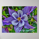 Suche nach columbine poster Souvenir