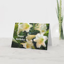 Suche nach osterlilie karten Easter