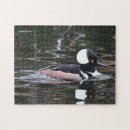 Recherche de étang puzzles Canard