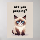 Suche nach katze baden poster Spaß