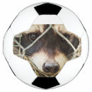 Recherche de yeux ballons foot Animal