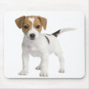 Recherche de chiot tapis souris Ordinateur