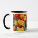 Recherche de keukenhof tasses Europe