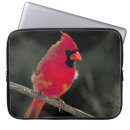 Suche nach der vogel laptop schutzhüllen Vogelvogel