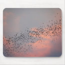 Suche nach bat mousepads Schläger