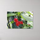 Suche nach rote beeren leinwandbilder Grün