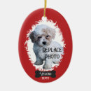 Suche nach portrait ornamente Hund