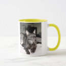 Recherche de aimable tasses Chat