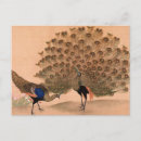 Suche nach vintager pfau postkarten Asiatisch