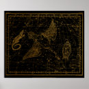 Suche nach celestial map poster Himmelskarte