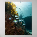 Suche nach wrack poster Ozean
