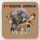 Recherche de zèbre bar Afrique