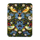 Recherche de voleur magnets Voleur de fraises