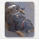 Suche nach stillstehen mousepads Hund