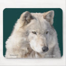 Recherche de wolf tapis souris Animaux