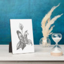 Suche nach peace fotoplatten Blume