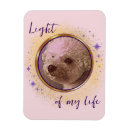Recherche de caresse magnets Image