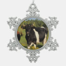 Suche nach hörner ornamente Kuh